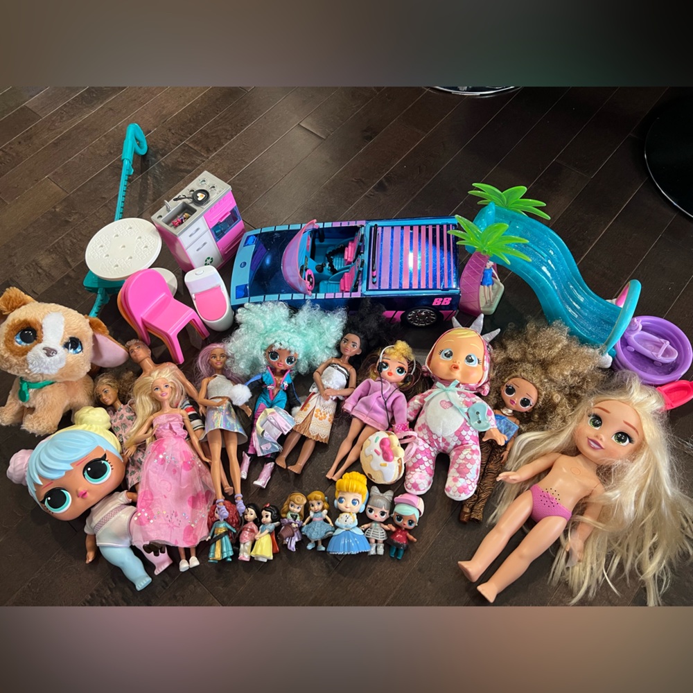 Colorful Doll Playset with Accessories